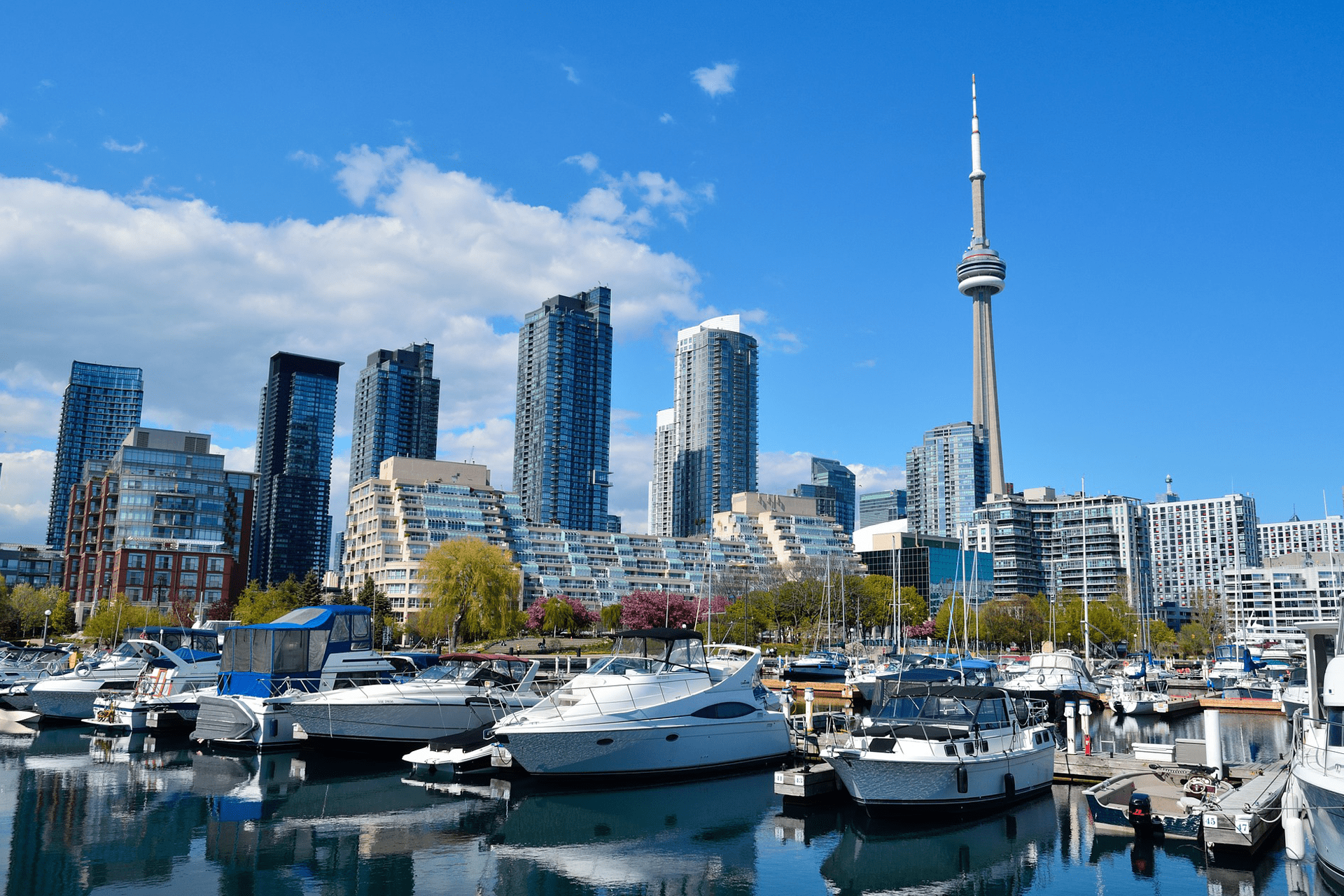 Students experiencing life in Toronto with ILAC
