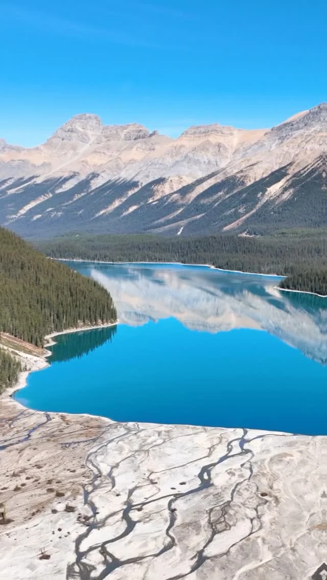 🗽🏔️ Study English + FREE trip to NYC or Banff? Yes, please!

Book 20-24 weeks of English classes and choose from amazing FREE perks worth $600 - including trips to:

New York City 🌆
Times Square chaos, Central Park vibes, Broadway shows, nice shops... the city that literally never sleeps!

OR Banff 🏔️
Great mountain views, crystal-clear lakes, hiking trails... basically nature’s playground!

Both places are bucket list material. Plus there are other perks to choose from too. All FREE when you commit to 20-24 weeks of English classes.

This offer won’t last forever. Ready to pick your perk? Check out our link in bio! 

#ilac #illoveilac #studyincanada #ilacshorttermpromo #ny #banff #visitny #visitcanada